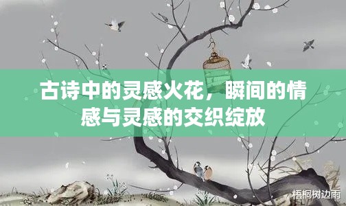 古诗中的灵感火花，瞬间的情感与灵感的交织绽放