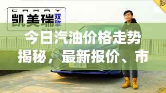 今日汽油价格走势揭秘，最新报价、市场动态与图片解读