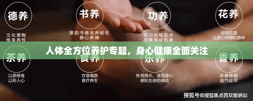 人体全方位养护专题，身心健康全面关注