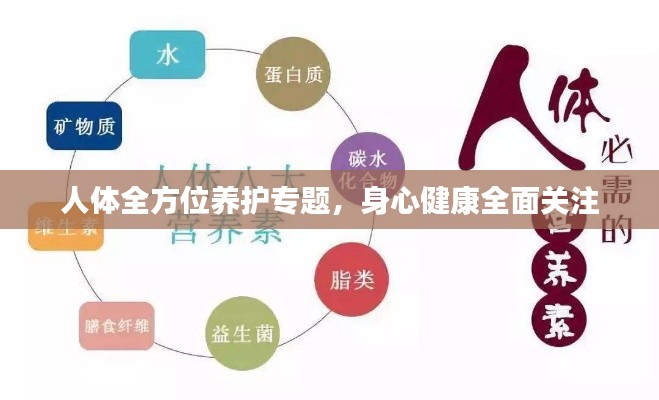 人体全方位养护专题,身心健康全面关注