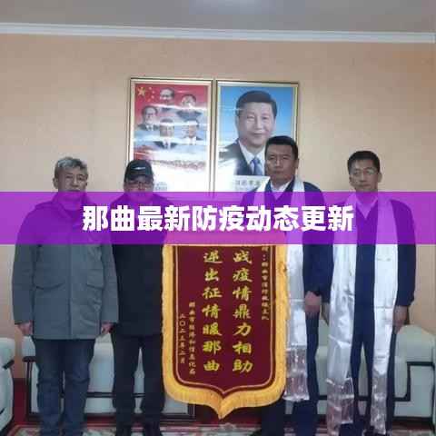 那曲最新防疫动态更新