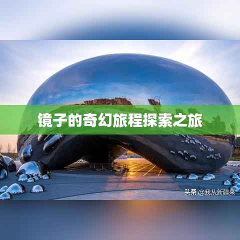 虫言鸟迹 第4页