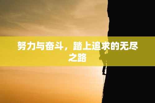 努力与奋斗,踏上追求的无尽之路