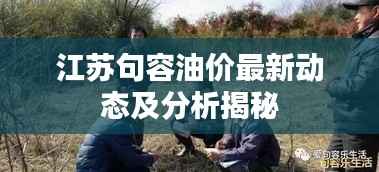 江苏句容油价最新动态及分析揭秘