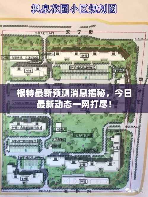 根特最新预测消息揭秘,今日最新动态一网打尽!