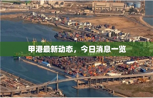 甲港最新动态，今日消息一览