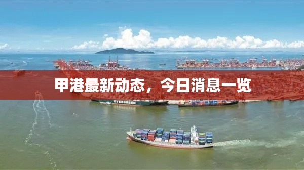 甲港最新动态,今日消息一览