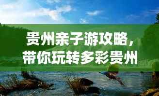 贵州亲子游攻略，带你玩转多彩贵州
