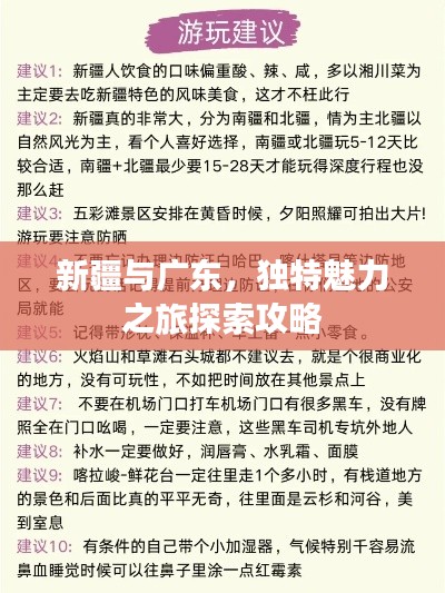 新疆与广东,独特魅力之旅探索攻略