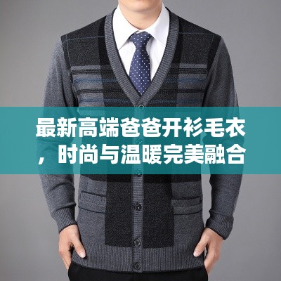 最新高端爸爸开衫毛衣，时尚与温暖完美融合，打造冬日暖心之选！