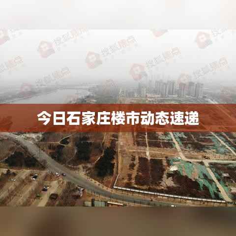 今日石家庄楼市动态速递