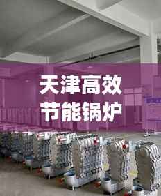天津高效节能锅炉，引领绿色能源革新之路