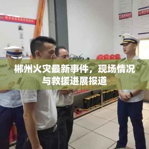 百不获一 第3页