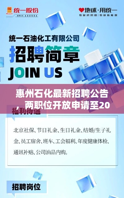 惠州石化最新招聘公告,两职位开放申请至2024年,不容错过!