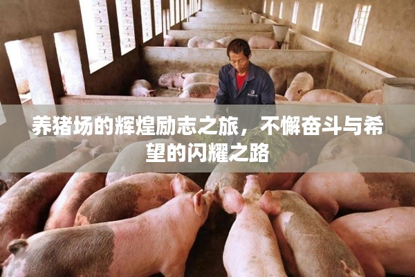 养猪场的辉煌励志之旅，不懈奋斗与希望的闪耀之路