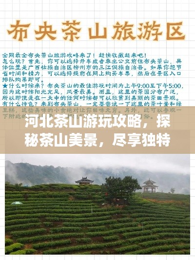 河北茶山游玩攻略，探秘茶山美景，尽享独特体验！