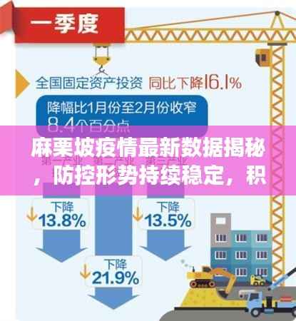 麻栗坡疫情最新数据揭秘，防控形势持续稳定，积极应对不松懈