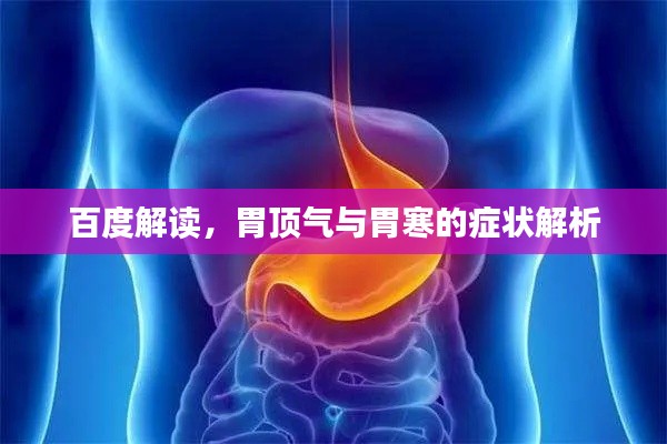 百度解读，胃顶气与胃寒的症状解析