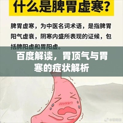 百度解读,胃顶气与胃寒的症状解析