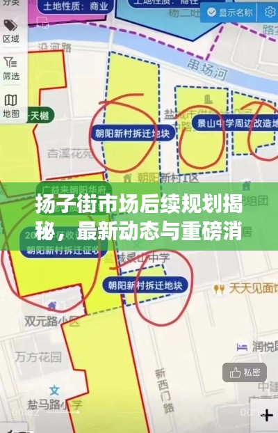 扬子街市场后续规划揭秘，最新动态与重磅消息！