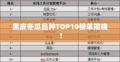黑皮冬瓜品种TOP10榜单揭晓!