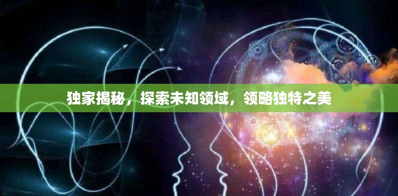 独家揭秘,探索未知领域,领略独特之美