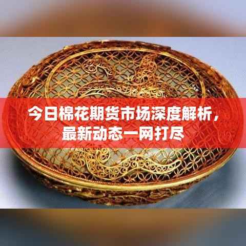 今日棉花期货市场深度解析，最新动态一网打尽