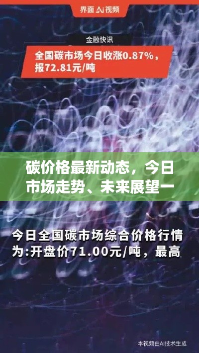 碳价格最新动态，今日市场走势、未来展望一网打尽
