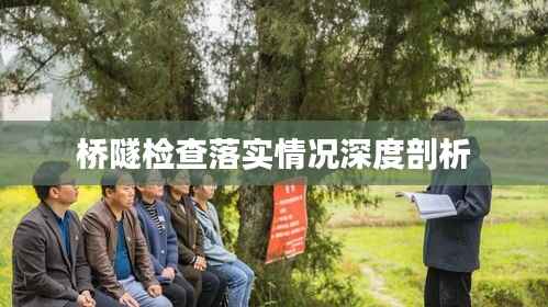 桥隧检查落实情况深度剖析