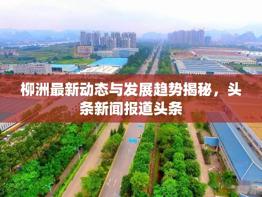 夯雀儿先飞 第3页