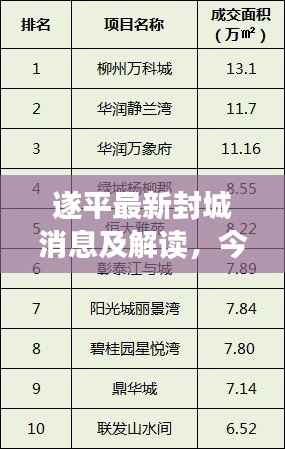 遂平最新封城消息及解读，今日状况速览
