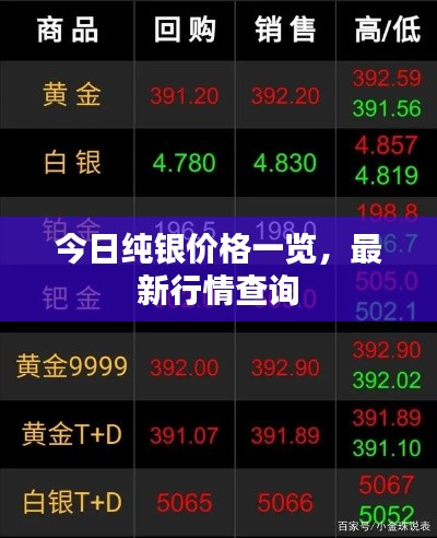 只争朝夕 第3页