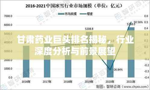 甘肃药业巨头排名揭秘，行业深度分析与前景展望