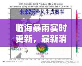 临海暴雨实时更新，最新消息及影响分析