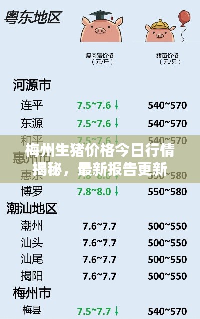 梅州生猪价格今日行情揭秘,最新报告更新