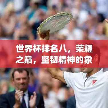 世界杯排名八，荣耀之巅，坚韧精神的象征