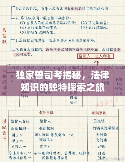 独家兽司考揭秘，法律知识的独特探索之旅