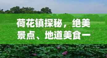 荷花镇探秘,绝美景点、地道美食一网打尽的超赞旅游攻略!