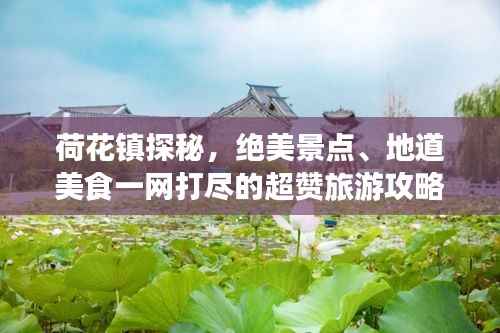 荷花镇探秘，绝美景点、地道美食一网打尽的超赞旅游攻略！