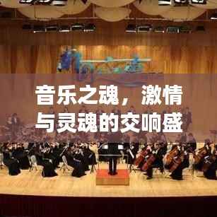 音乐之魂，激情与灵魂的交响盛宴