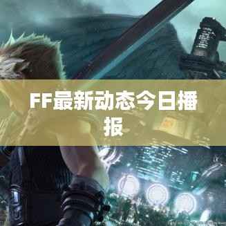 FF最新动态今日播报