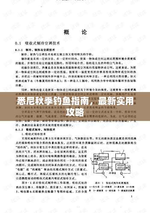 悉尼秋季钓鱼指南，最新实用攻略