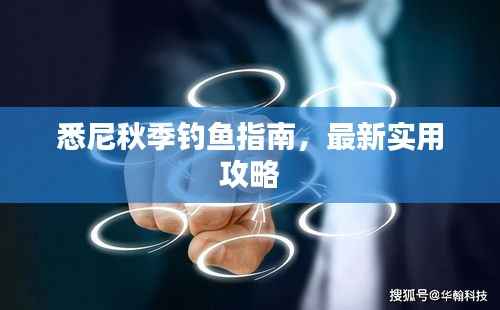 悉尼秋季钓鱼指南,最新实用攻略