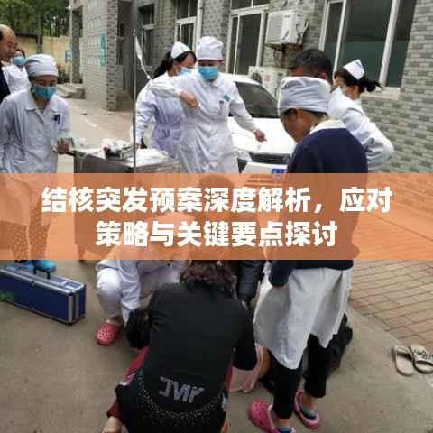 结核突发预案深度解析，应对策略与关键要点探讨