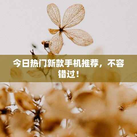 衣不曳地 第3页