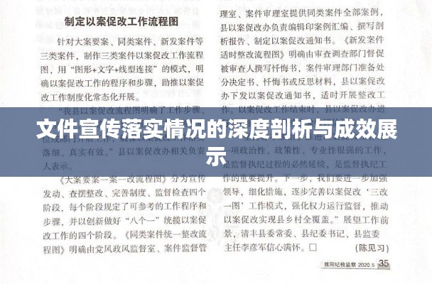 文件宣传落实情况的深度剖析与成效展示