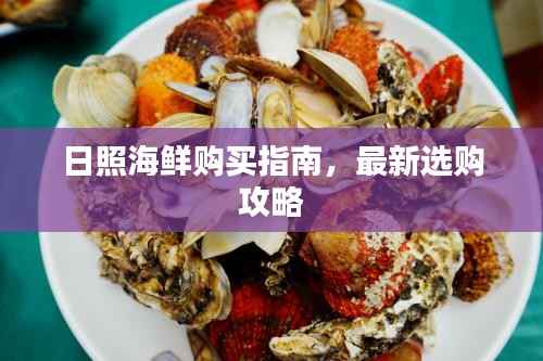 日照海鲜购买指南，最新选购攻略