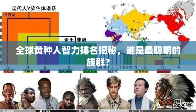全球黄种人智力排名揭秘,谁是最聪明的族群?