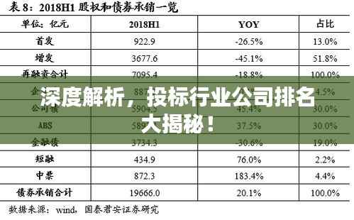 深度解析，投标行业公司排名大揭秘！
