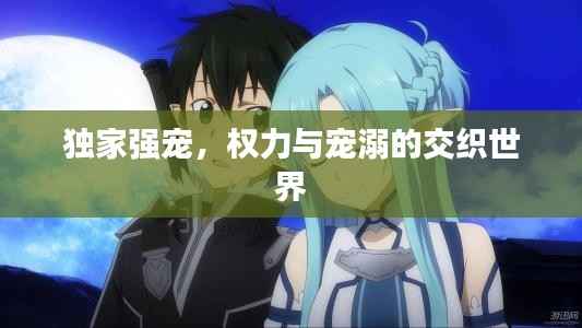 独家强宠，权力与宠溺的交织世界